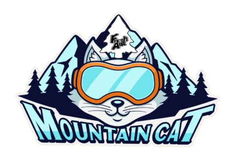 Mountain Cat - Carson City, NV