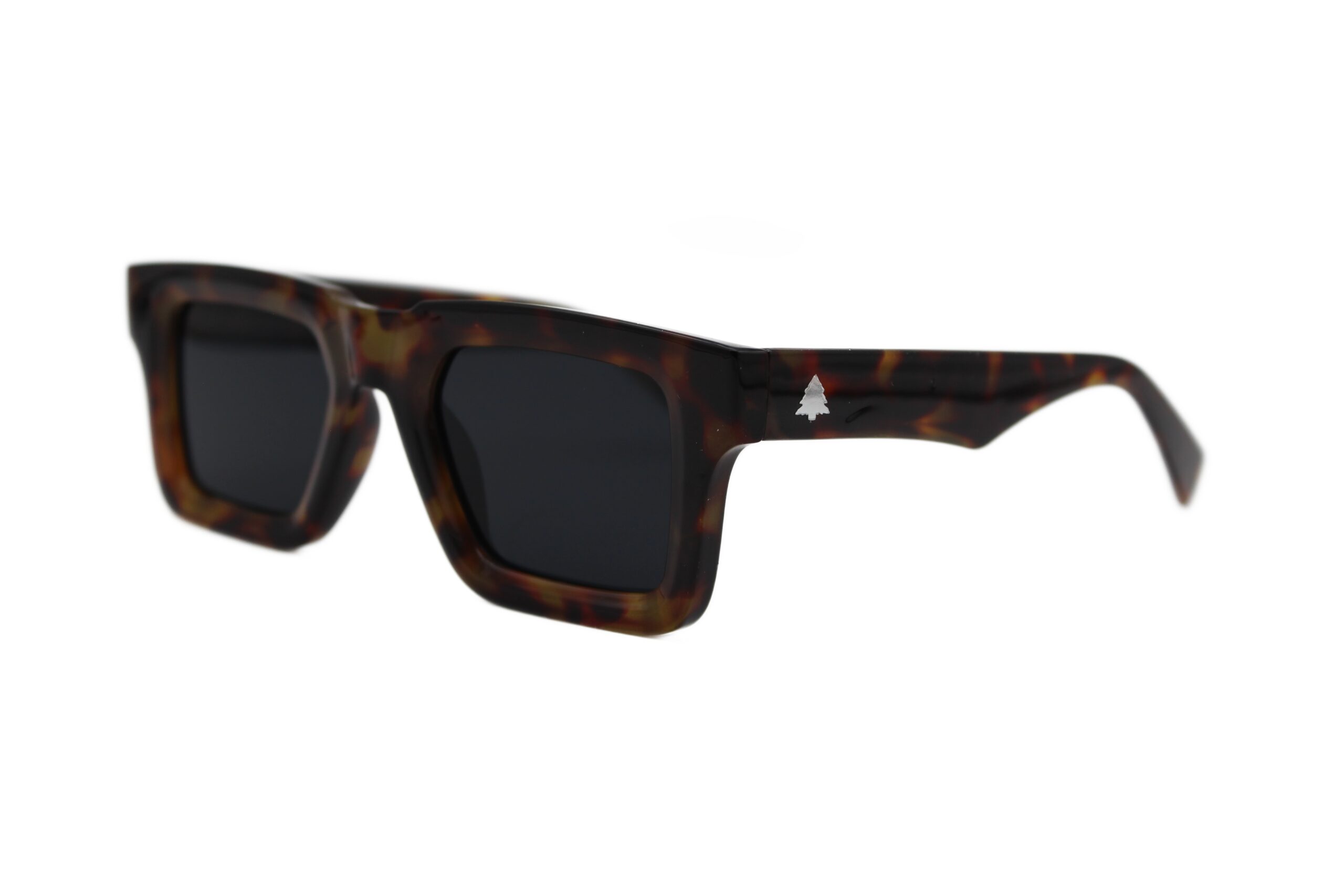 Stunna Style Tortoise Sunglasses