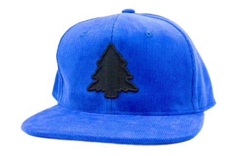 Fresh Blue Corduroy Hat