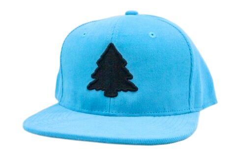 Fresh Aqua Corduroy Hat