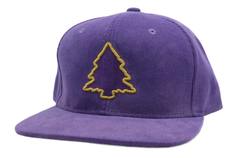 Fresh Purple Crown Corduroy Hat