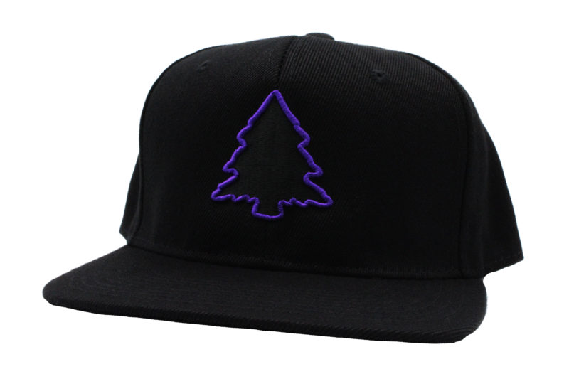 Fresh Black & Purple Player Hat