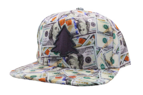 Fresh Benjamins Hat