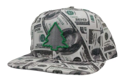 Fresh New Benjamins Hat