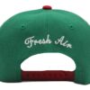 Fresh Mexico Player Hat - Image 2