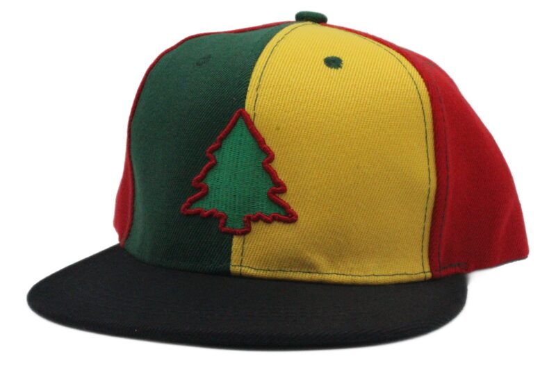 Fresh RastA Panel Player Hat